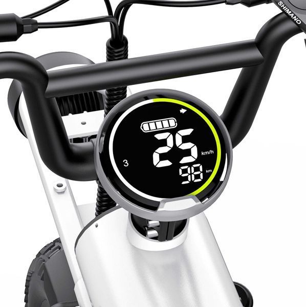 COSWHEEL T16 20AH 500W фото