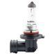 Галогенова лампа Brevia H10 12V 45W PY20d Power +30% CP 12050PC фото 2